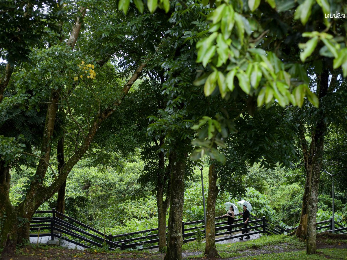 Tagaytay Prenup – Picnic&nbsp;Grove